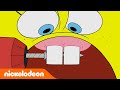 Spongebob  spongebob ma nowe zby  nickelodeon polska