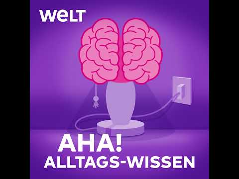 Mythos Soulmate: Warum es den perfekten Partner nicht gibt