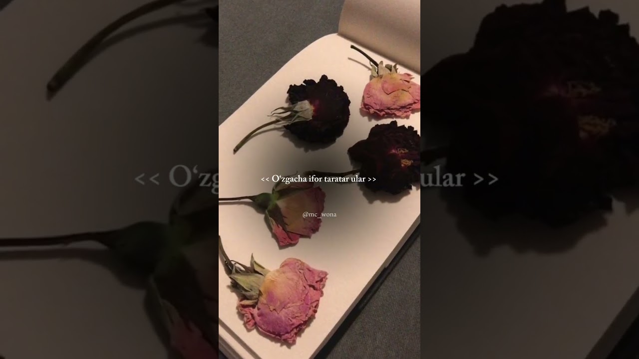 O'zgacha ifor taratar ular, Kitop ichidagi qurigan gullar.