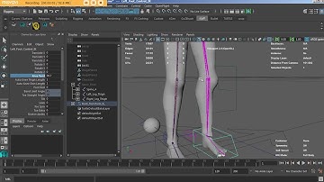 Auto Rig Legs demo