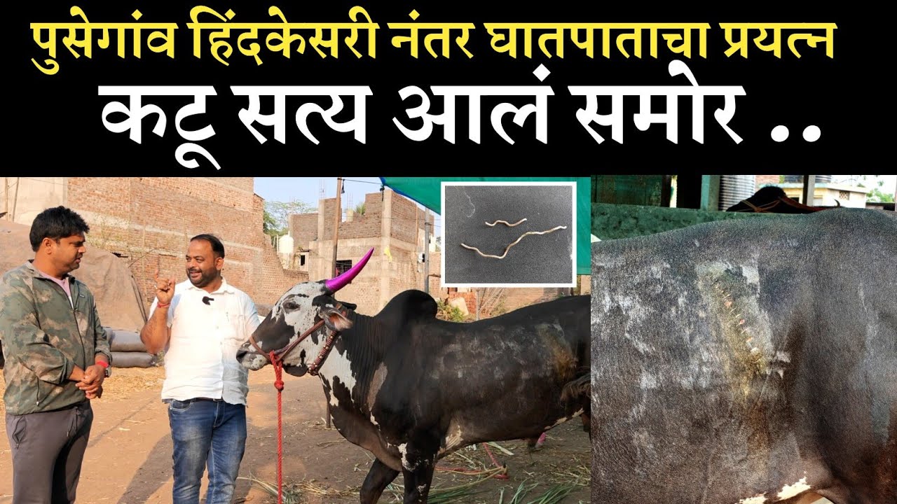 हिंदकेसरी सचिनला नक्की काय झालं आहे..