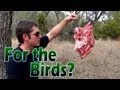 Bird Shot vs Meat (Home Defense Shotgun)