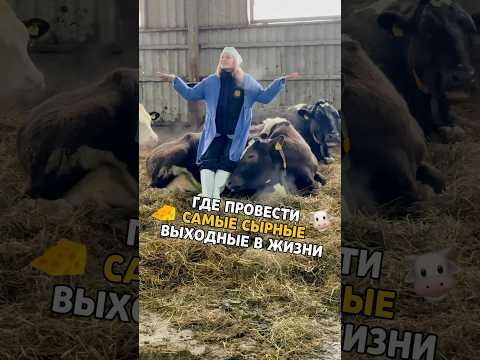 СЫРНЫЕ ВЫХОДНЫЕ: 30 минут от МосквыПодпишись и узнаешь, где вкусно и интересно в мск ❤️