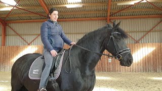 Best day ever, during the last weeks of my pregnancy! Friesian horses.