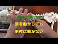 【2分でチェック！】体の調子がいいか悪いかは、連動性で判断しよう