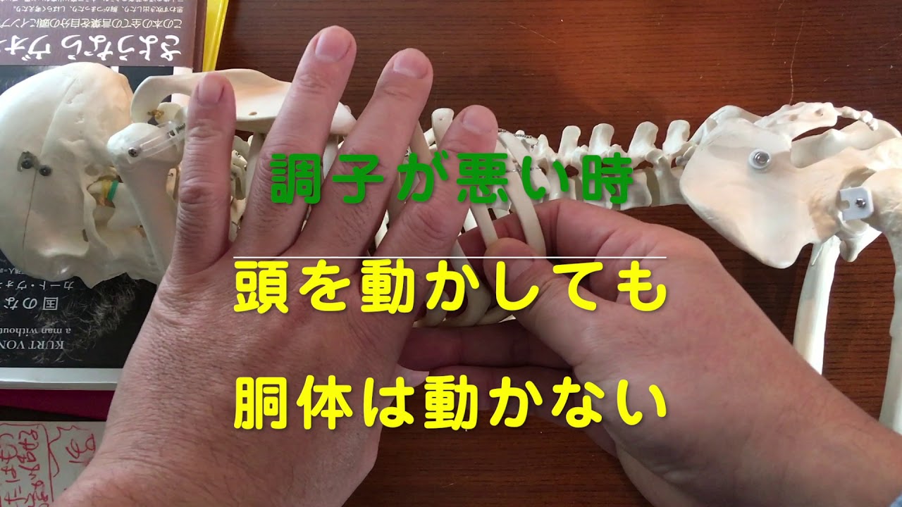 【2分でチェック！】体の調子がいいか悪いかは、連動性で判断しよう