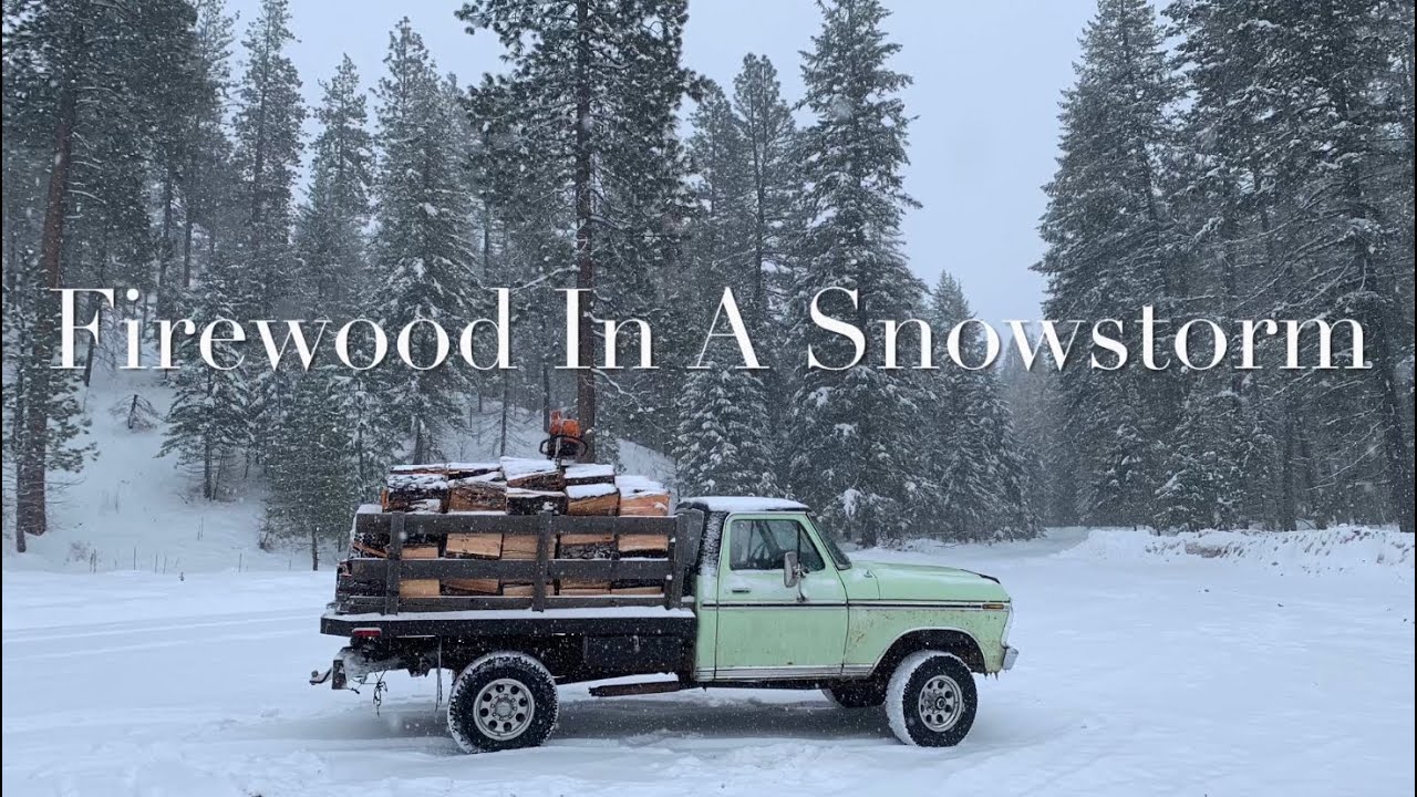 Cutting Firewood In A Snowstorm ️ 🌲 🪓 🪵 🔥 🏔 - YouTube
