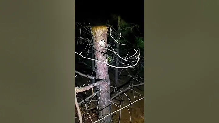 words can't even explain how intense this was