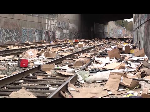 VIDEO: Thieves looting trains in LA of thousands of packages (CBS Newspath)