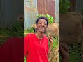 Namitti Huddu Guddaa Funny Oromo Tiktok Vidiyowan Nama Bashanansisan