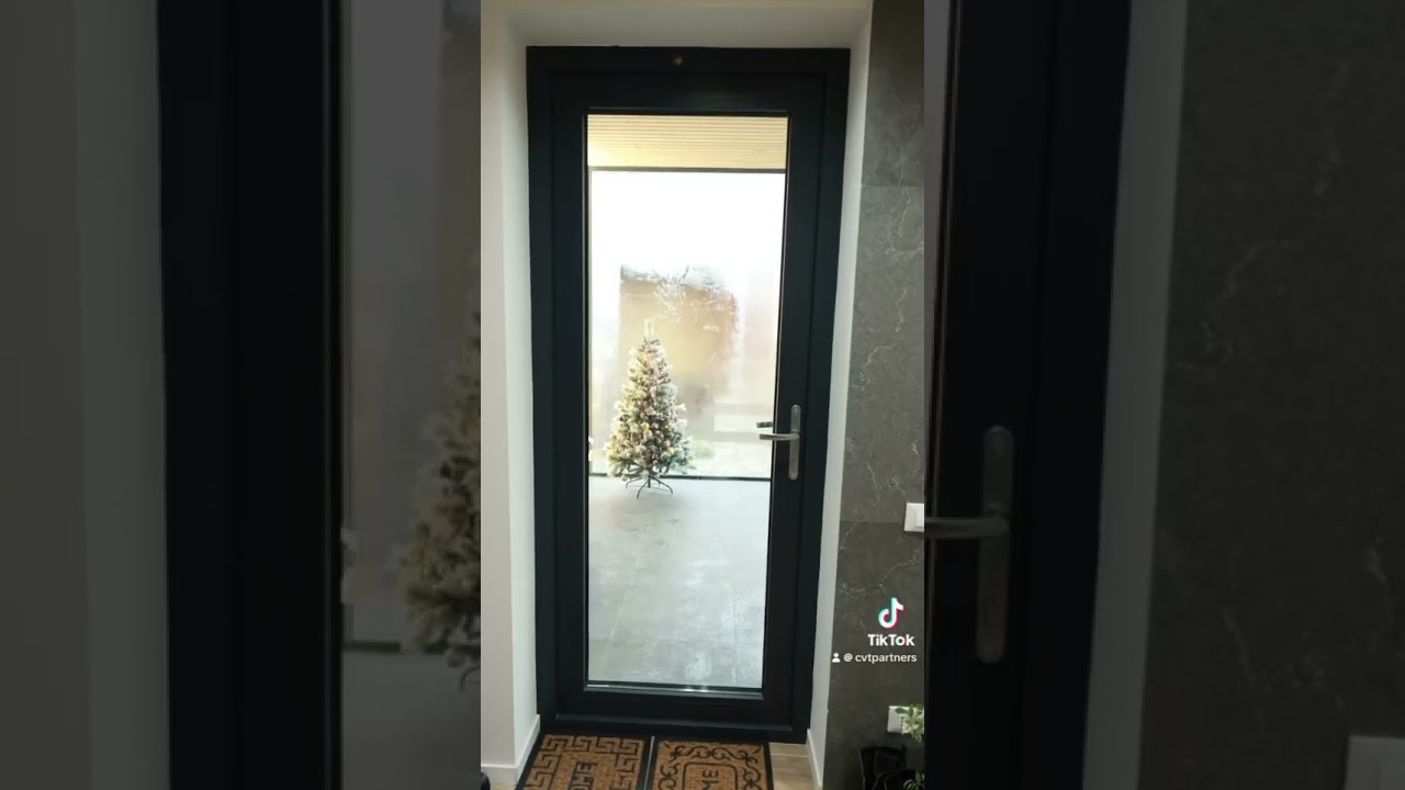 Salamander window systems 