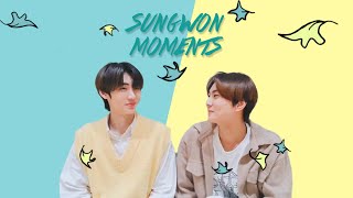 sungwon moments that will help to boost your mood | sungwon (sunghoon/jungwon) | enhypen