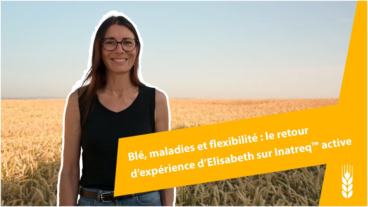 Blé, maladies et flexibilité : le retour d’expérience d’Elisabeth sur Inatreq™ active