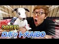 【30万円】我が家に犬がやってきた！【AIBO】