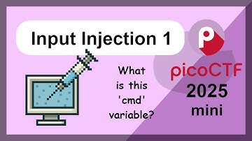 Variable Overwrite! - picoCTF 2025 Mini - Binary Hacking - Input Injection 1