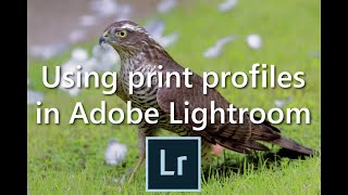 Using print profiles in Adobe Lightroom.