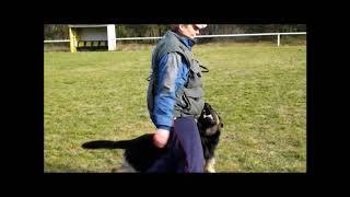 Kanal Trailer IG Hundesport Mellensee