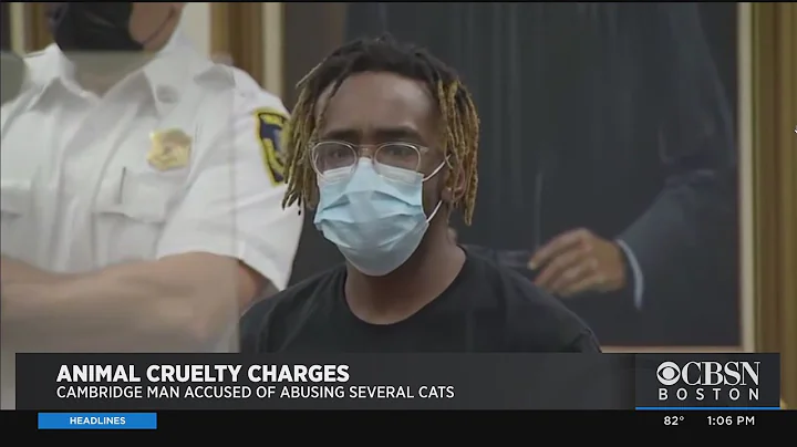 Rashad Gober Charged In Series Of Brutal Cat Attac...