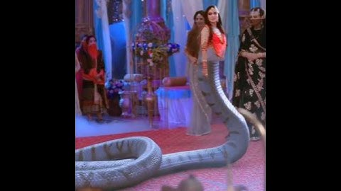 Nagin 6|🐍🙏 bela is coming|#subscribe #trending #famous #trending #like #share #love #viral