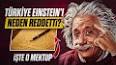 Albert Einstein: Bir Dahi Biyografisi ile ilgili video