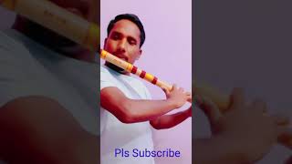 Teri Meri  Meri Teri  Flute Instrumental