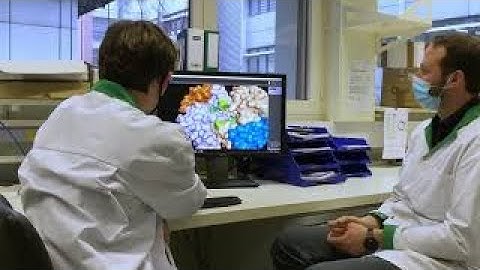 Latest research from the Bioprocess Lab: Boosting the potential of engineered metalloenzymes