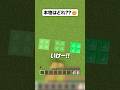 本物はどれ？？🤯 #shorts #マイクラ