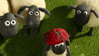 Robot Timmy! 🐑 Shaun the Sheep 🐑  - Cartoons for Kids 🐑 Full Episodes Compilation [1 hour]