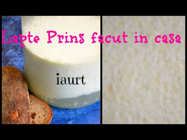 paint Exercise ornament Lapte Prins sau Chisleag - Iaurt facut in casa - YouTube