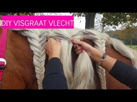 Video: Die Vlechtjes In Hun Manen Weeft. - Alternatieve Mening