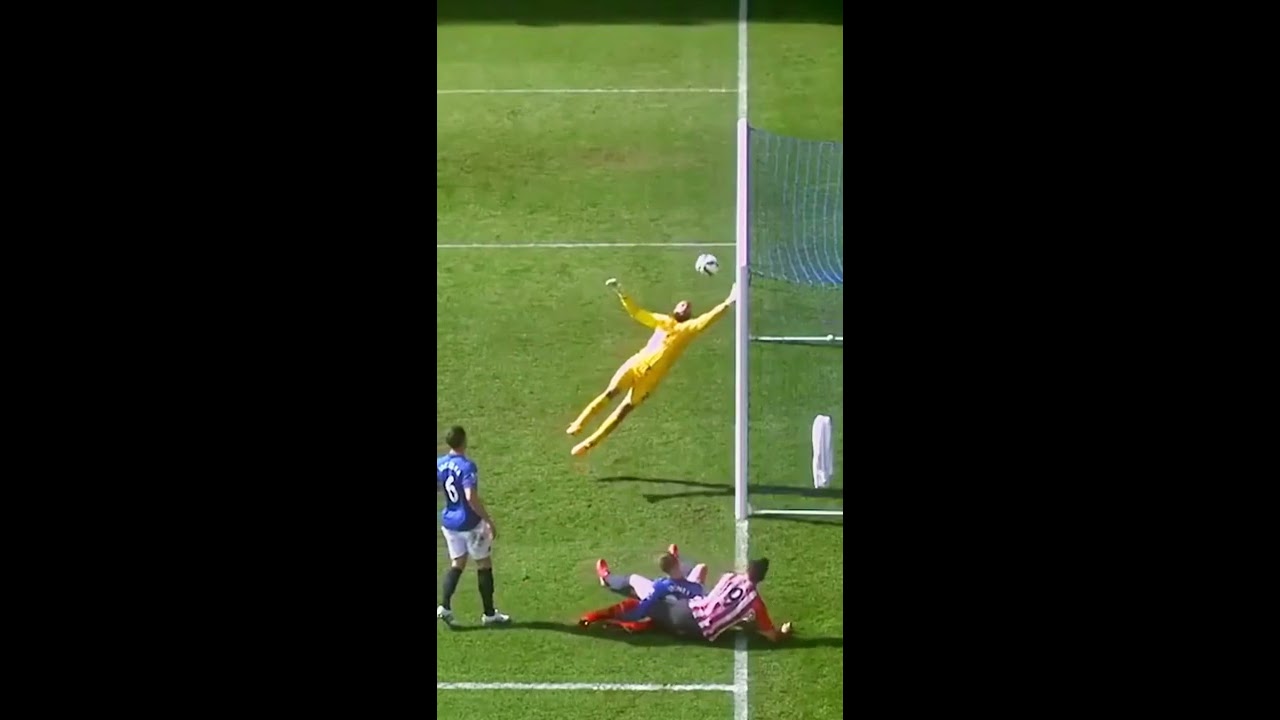 Is This The Best Premier League Save EVER 
