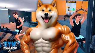 A ACADEMIA DO DOG MAROMBA! (Gym Simulator)