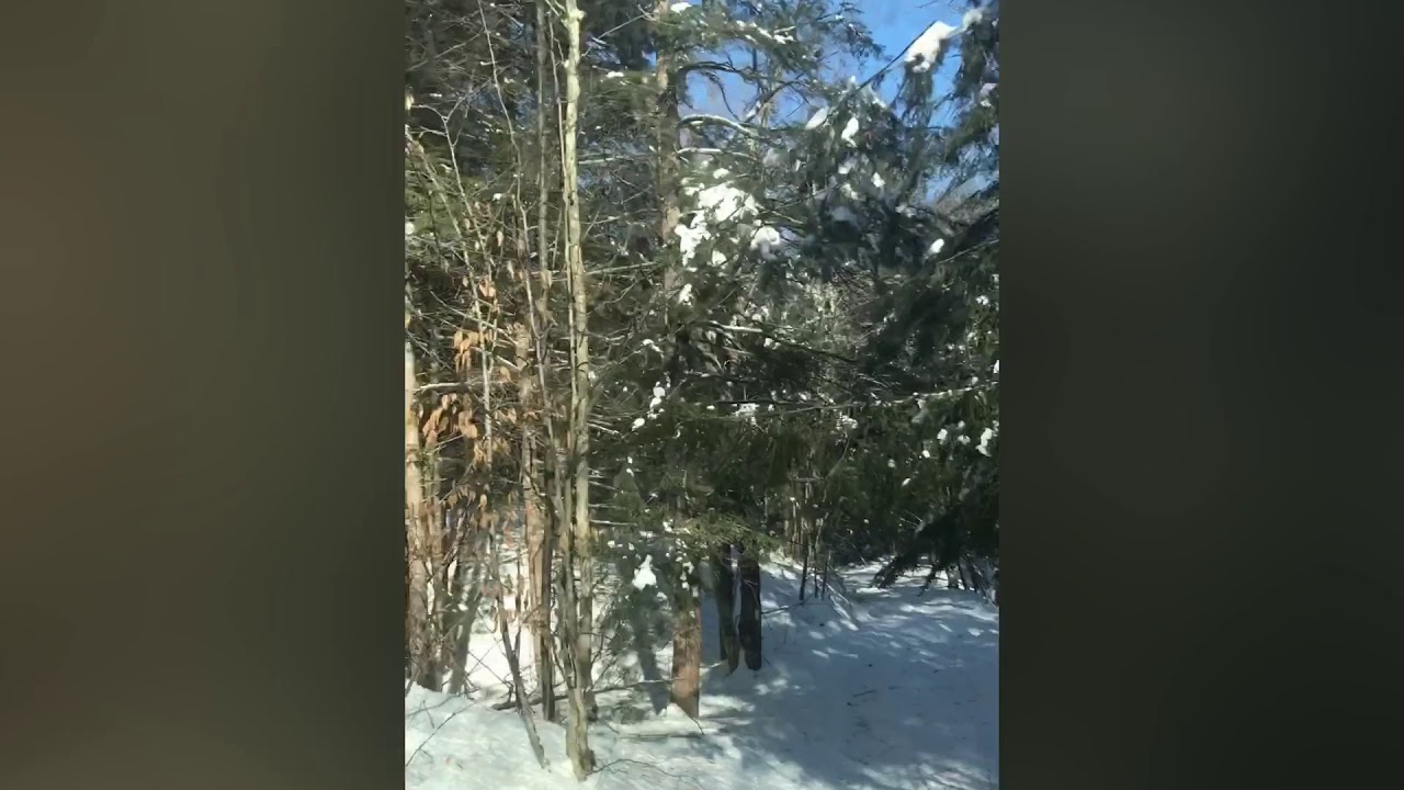 EXPLORING//OFFROAD TRAILS NEW HAMPSHIRE YouTube