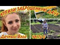 КУПИЛА ЗАБРОШЕННУЮ ДАЧУ[ЧАСТЬ6]ПОСАДКА КАРТОФЕЛЯ/ПОКУПКИ В СВЕТОФОРЕ/РУЧНОЙ КУЛЬТИВАТОР ТОРНАДО