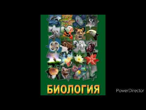 #51 Роль грибов в природе и жизни человека. Биология 7 кл.