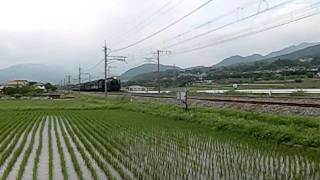 沼田の田園を行く「C6120」
