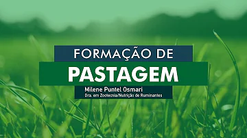 O que é pastagem plantada?