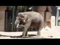 Un dia en el Zoo, Madrid, 2016