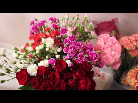 ყვავილების მაღაზია ,,Gardenia\"