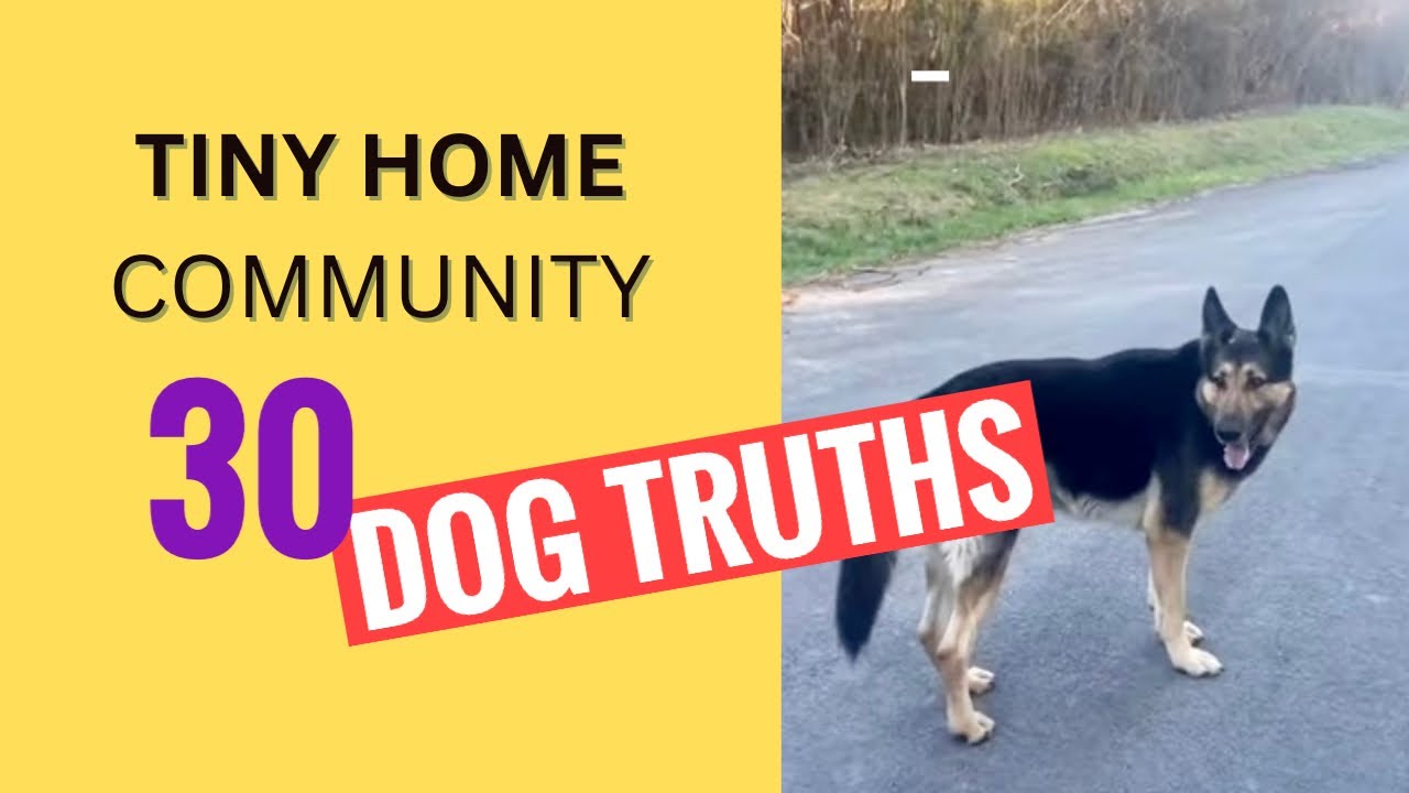 tiny-home-community-dog-life-truths-value-of-a-pet-photos-with-words