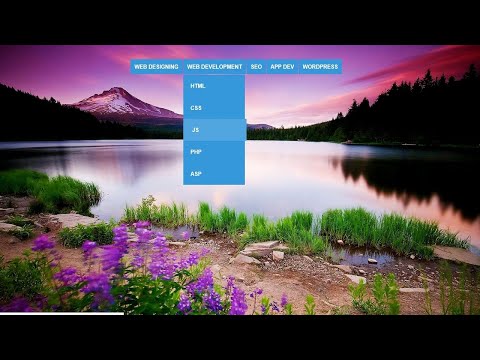 Pure HTML/CSS Dropdown Menu on hover | Attractive Dropdown Menu with hover effect HTML/CSS ????