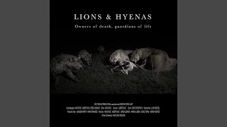 The Lands Of The Lions