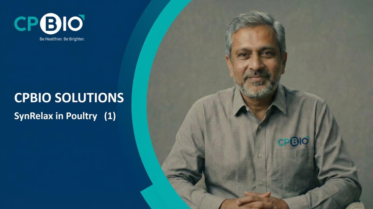 SynRelax: The Secret to Stress-Free Poultry & Higher Pay. 