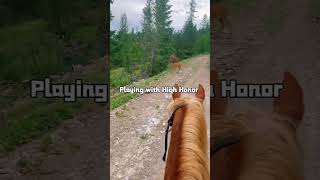 Red Dead Redemption 2 Real Life | Playing with High Honor