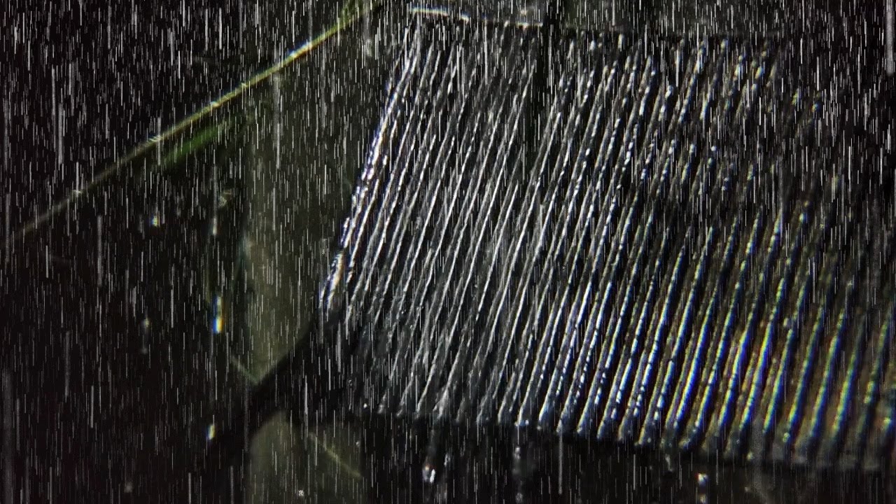 Relaxing Rain and Thunderstorm Sounds – Deep Night Ambience to Fall Asleep Fast and Deeply