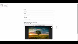 Image Resize Functionality in Advanced File Upload with Bit Form