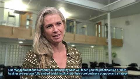 An introduction to the Management and Corporate Sustainability MSc