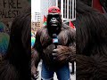 #funny #ai #bigfoot