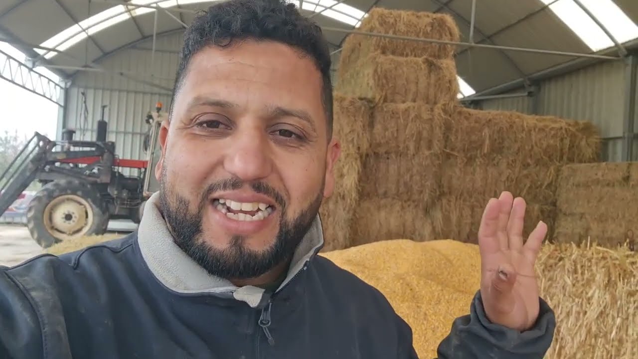 10 طون ديال الدرا  شوفوا تمان من عند فلاح اسباني