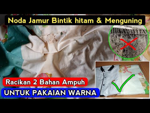 Cara Hilangkan Jamur